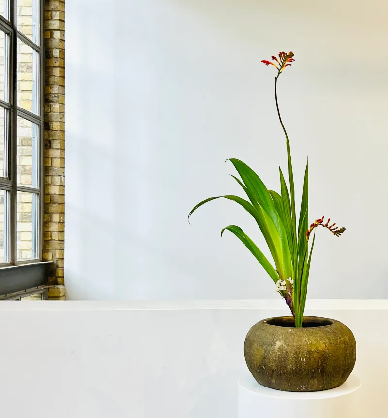 Ikebana arrangement