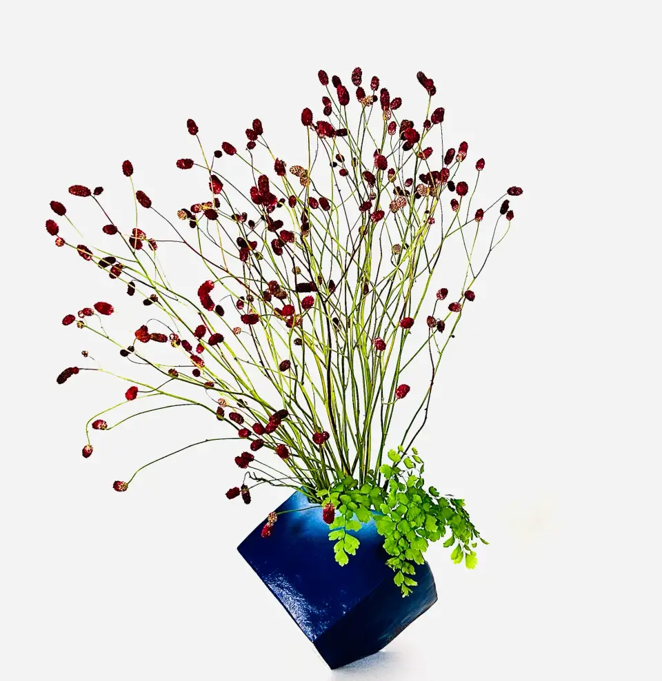 Jiyuka Ikebana arrangement by Valerie Fontanier, June 2025