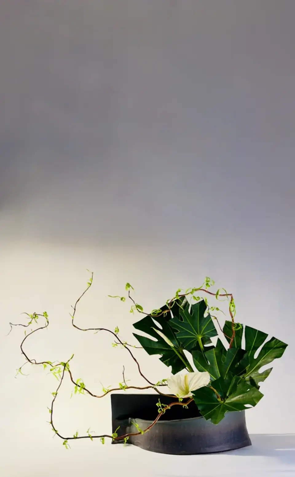 Jiyuka Ikebana arrangement by Valerie Fontanier
