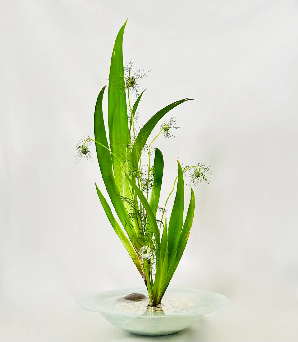 Jiyuka Ikebana arrangement by Valerie Fontanier, August 2025
