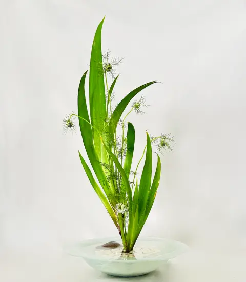 Jiyuka Ikebana arrangement by Valerie Fontanier, August 2025