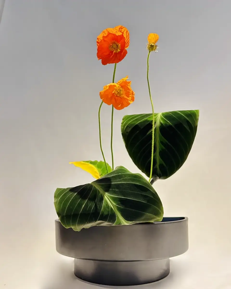 Jiyuka Ikebana arrangement by Valerie Fontanier, March 2025