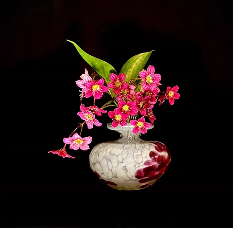 Nageire Ikebana arrangement by Valerie Fontanier, May 2025