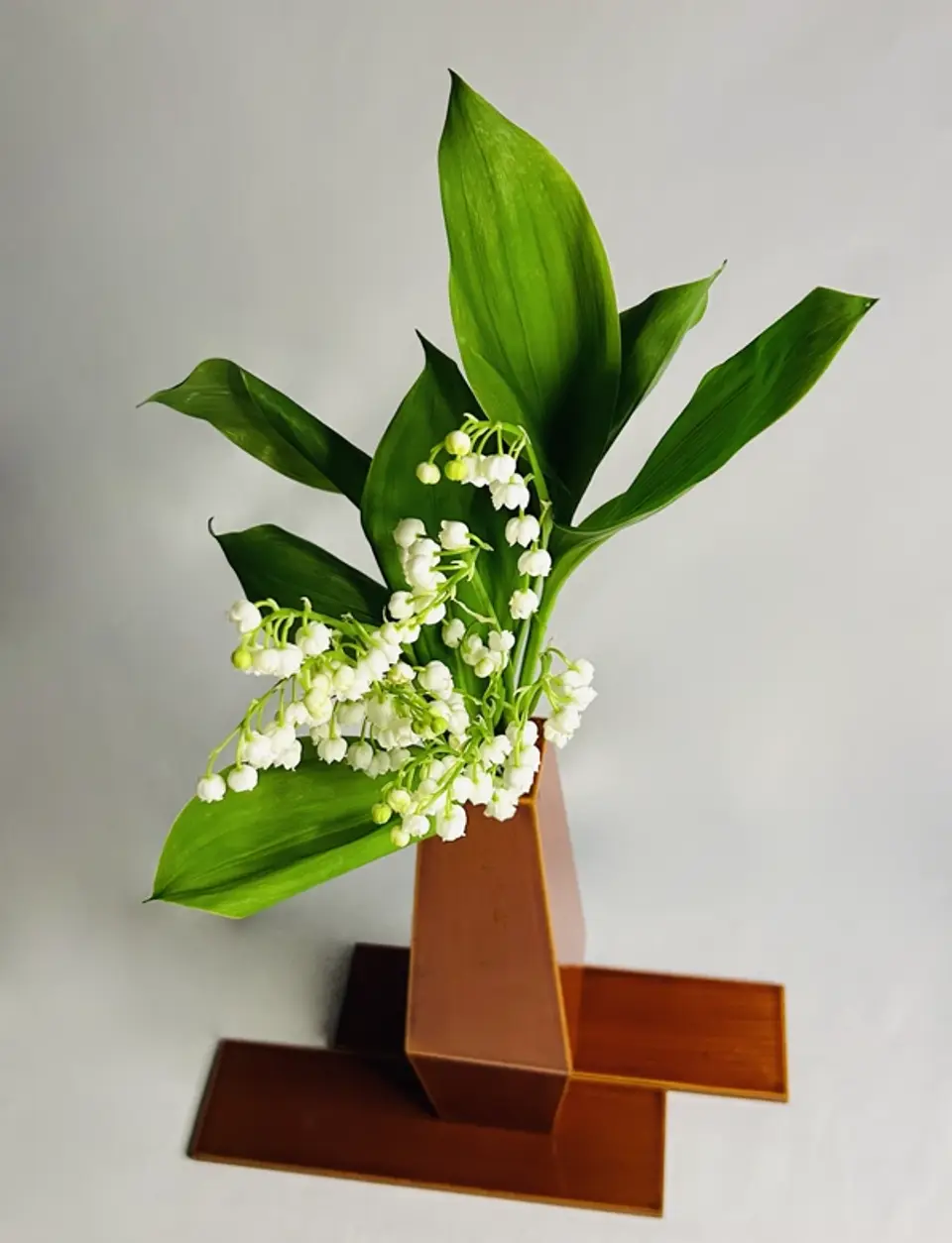 Nageire Ikebana arrangement by Valerie Fontanier, March 2025