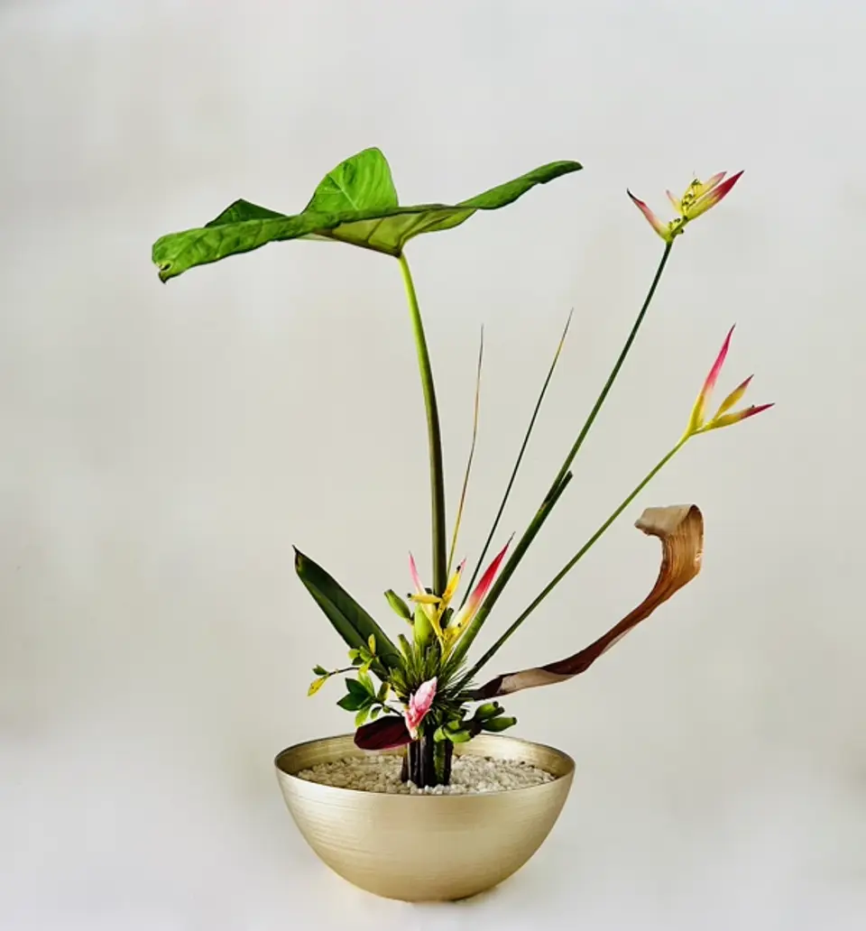 Rikka Shinputai Ikebana arrangement by Valerie Fontanier, September 2024