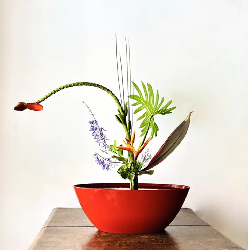Rikka Shinputai Ikebana arrangement by Valerie Fontanier, August 2024