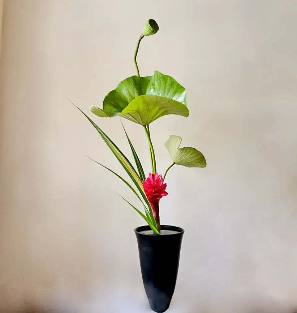 Shoka Shinputai Ikebana arrangement by Valerie Fontanier, January 2025