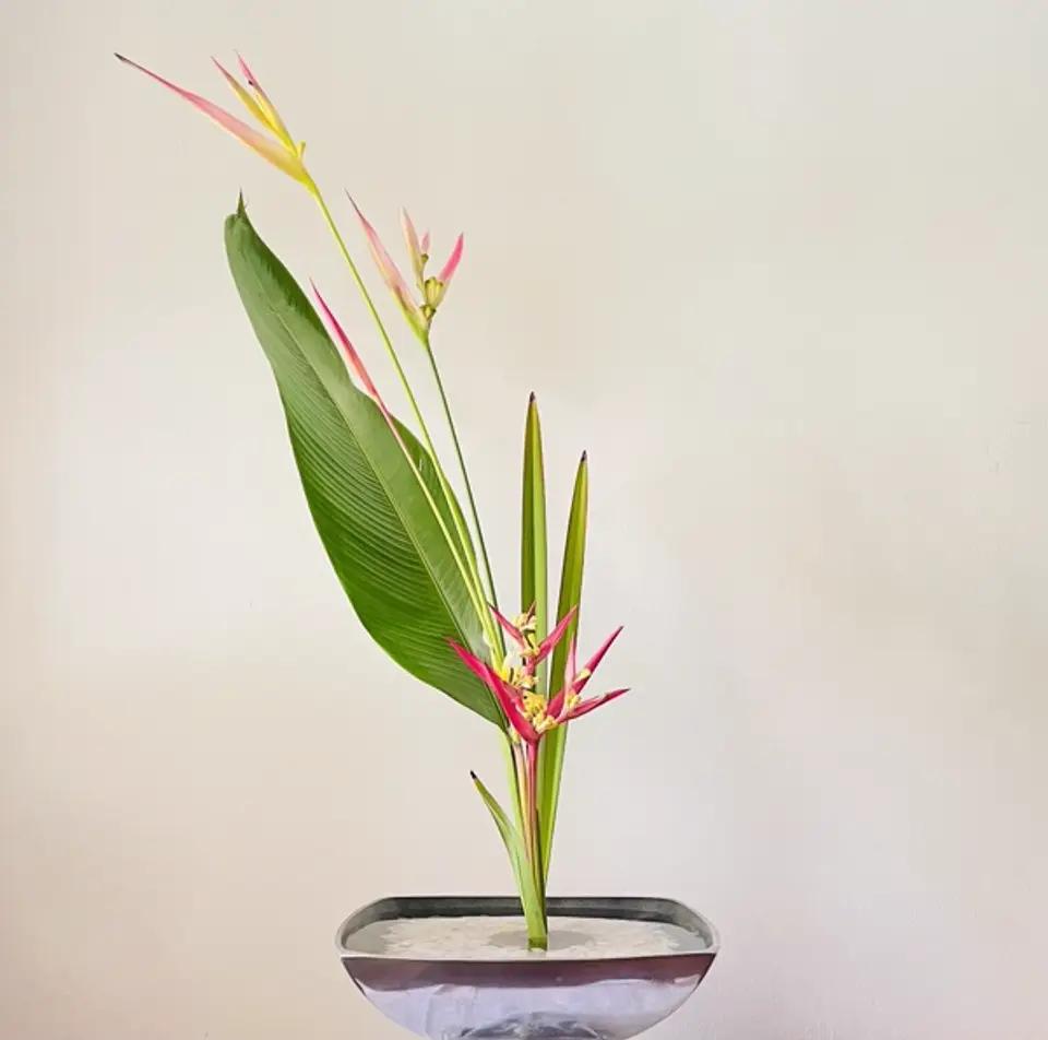 Shoka Shinputai Ikebana arrangement by Valerie Fontanier, April 2025