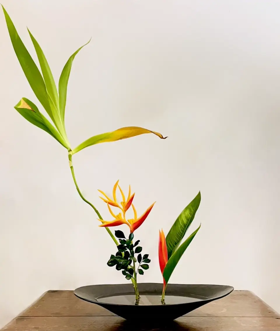 Shoka Shinputai Ikebana arrangement by Valerie Fontanier, August 2025