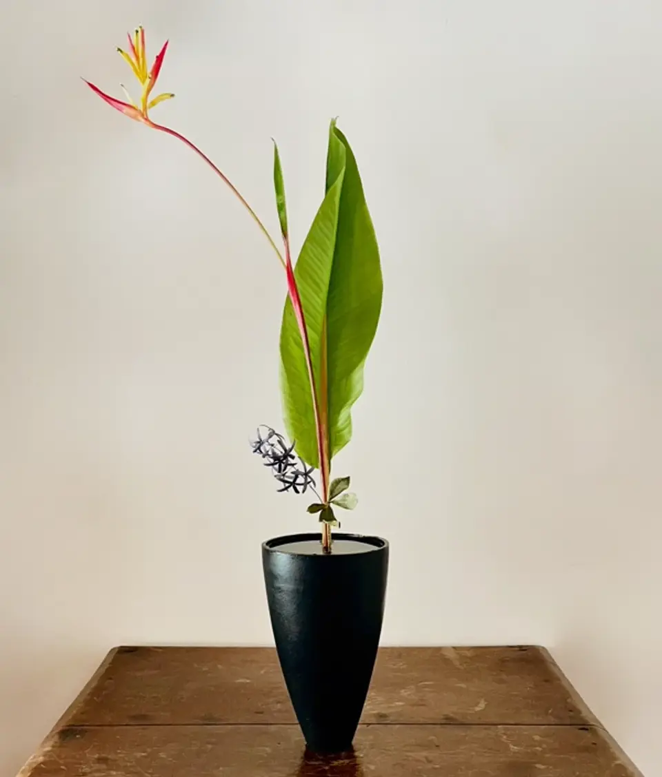 Shoka Shinputai Ikebana arrangement by Valerie Fontanier, September 2025