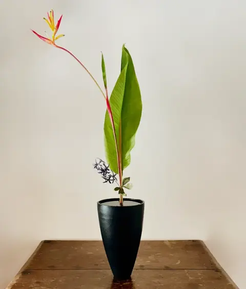 Shoka Shinputai Ikebana arrangement by Valerie Fontanier, September 2025
