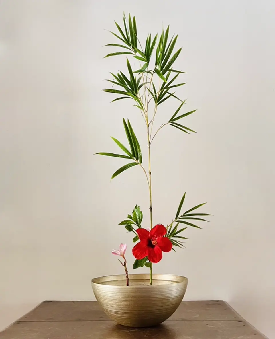 Shoka Shinputai Ikebana arrangement by Valerie Fontanier, October 2025
