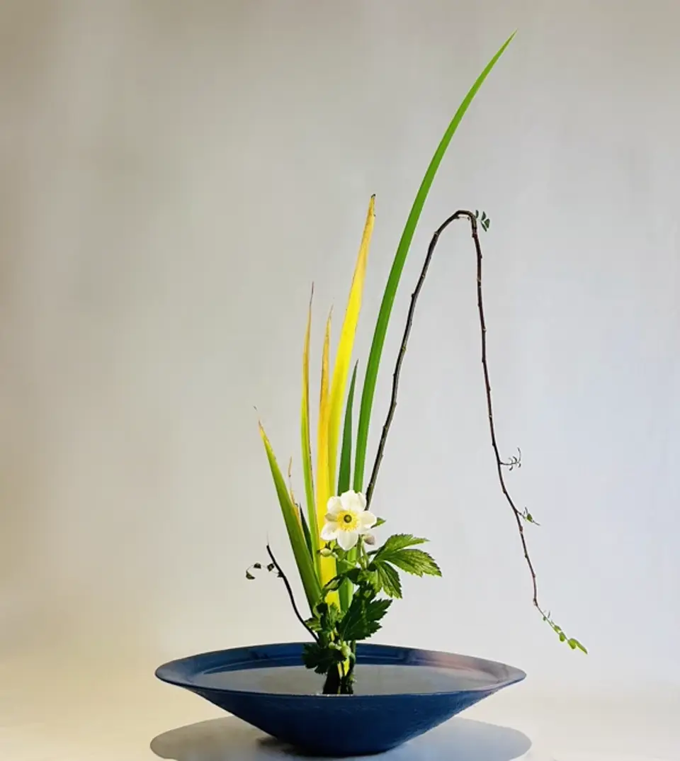 Shoka Shinputai Ikebana arrangement by Valerie Fontanier, May 2023