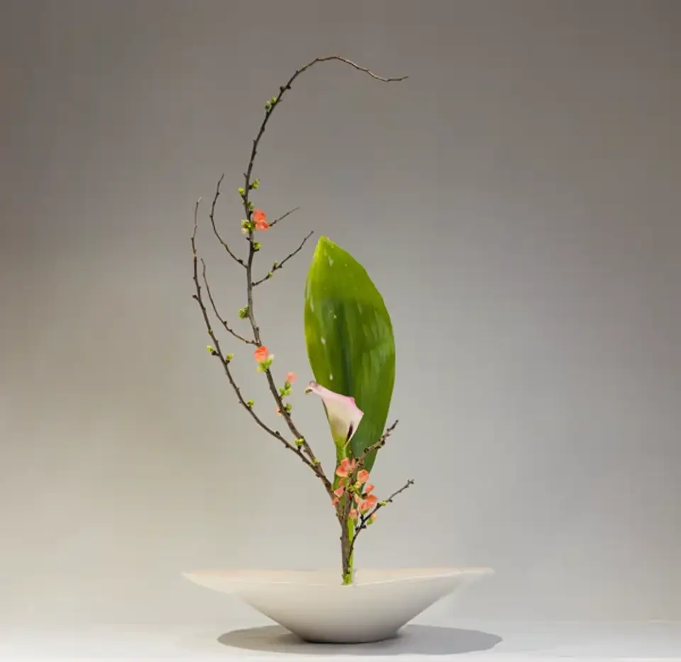Shoka Shinputai Ikebana arrangement by Valerie Fontanier