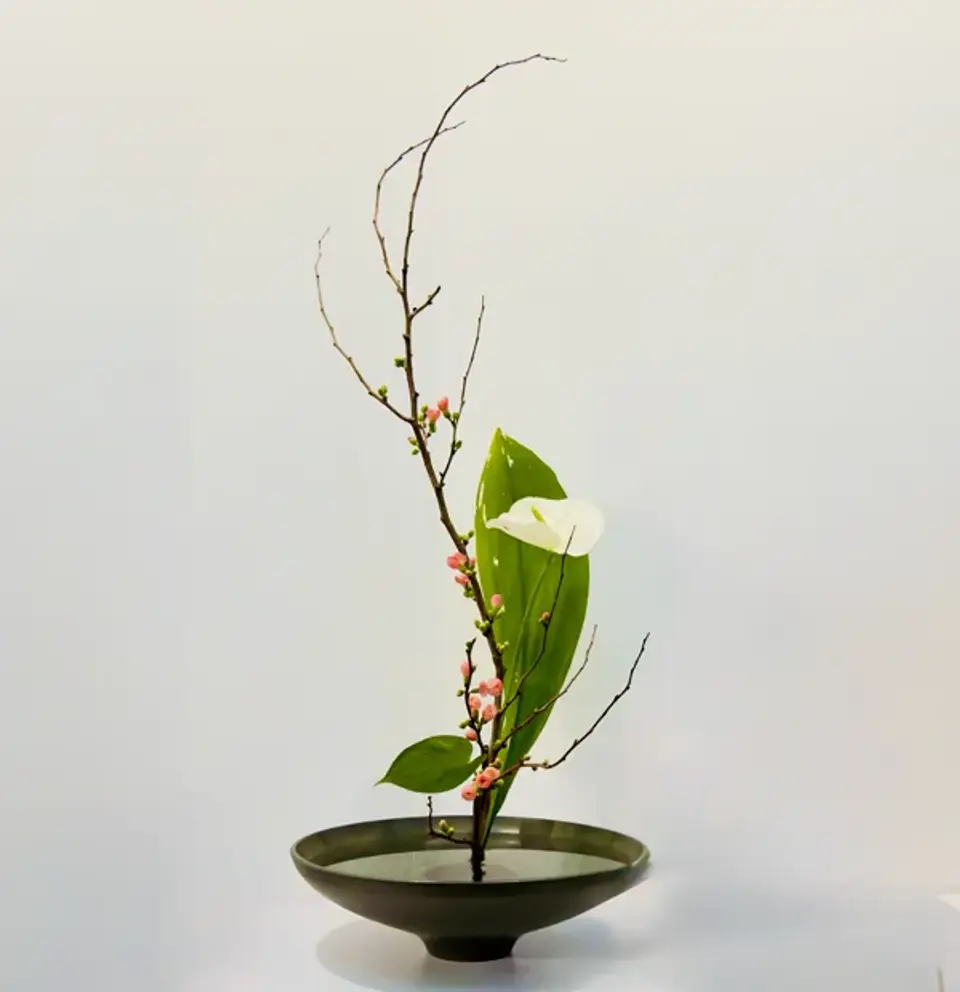 Shoka Shinputai Ikebana arrangement by Valerie Fontanier