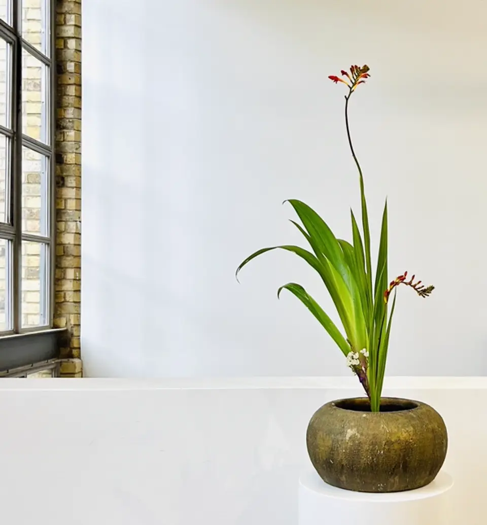 Shoka Shinputai Ikebana arrangement by Valerie Fontanier, August 2023