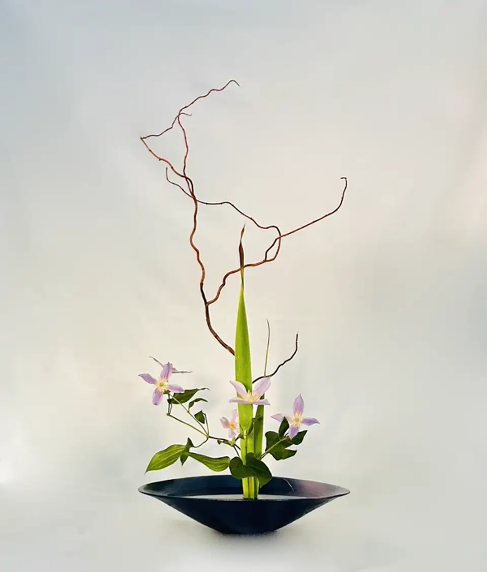 Shoka Shinputai Ikebana arrangement by Valerie Fontanier, March 2024