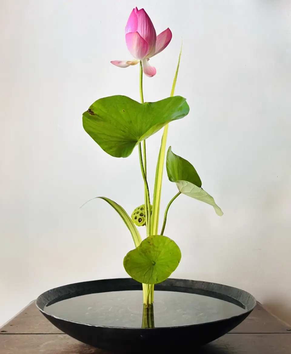 Shoka Shinputai Ikebana arrangement by Valerie Fontanier, June 2024