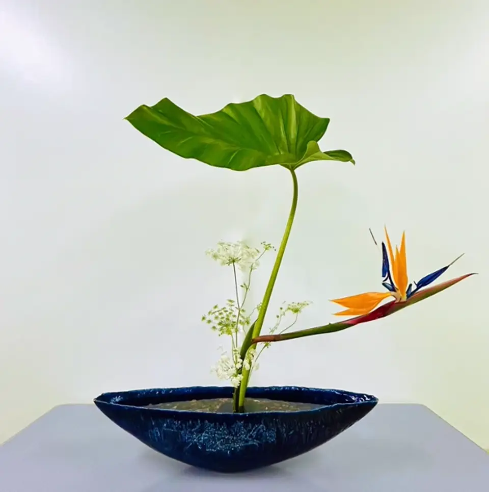 Shoka Shinputai Ikebana arrangement by Valerie Fontanier, December 2024