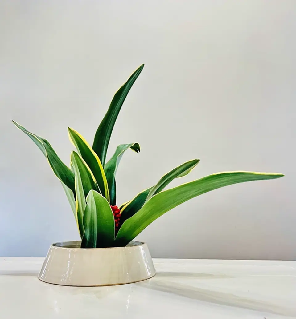 Shoka Shofutai Ikebana arrangement by Valerie Fontanier, July 2025