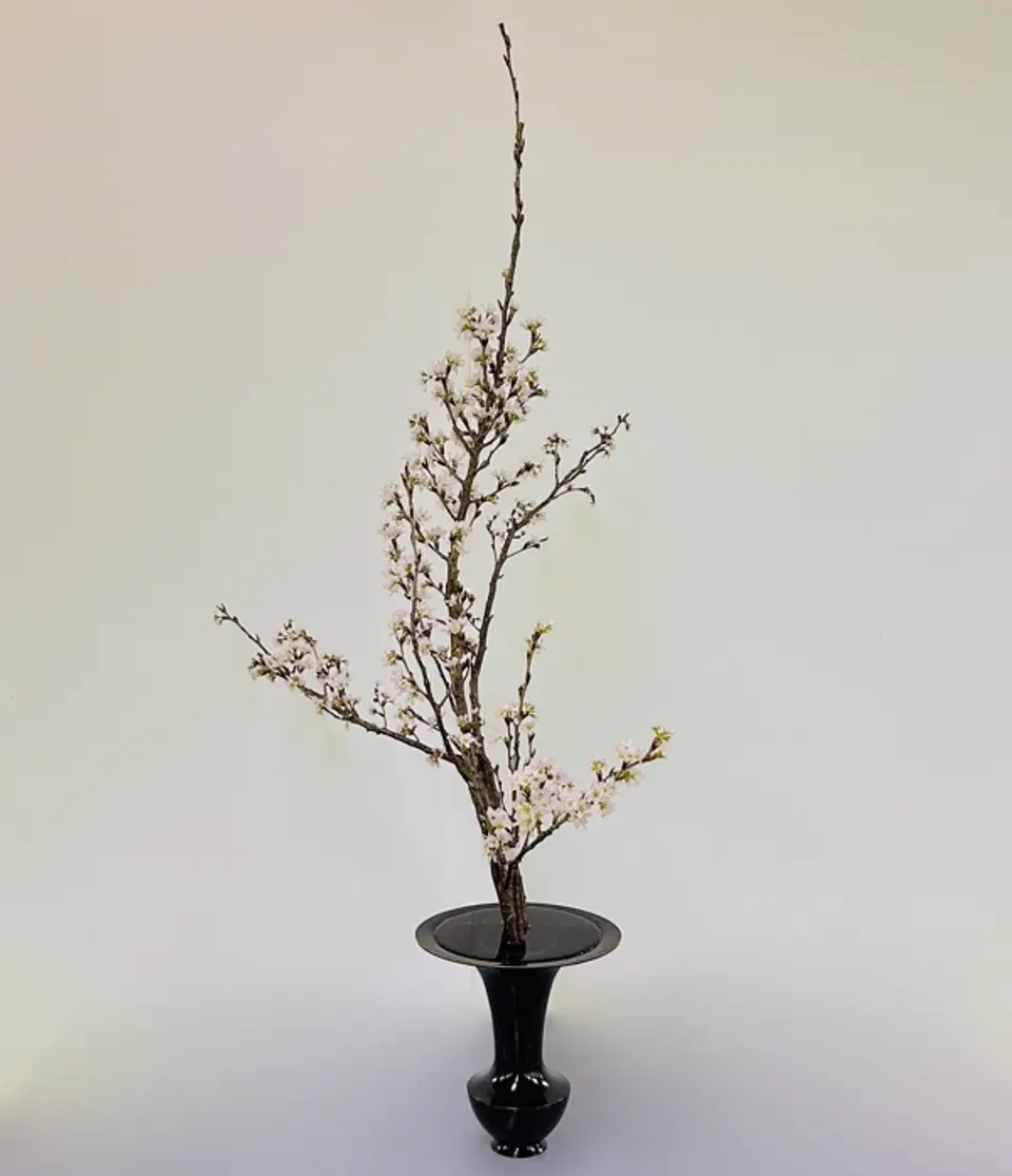 Shoka Shofutai Ikebana arrangement by Valerie Fontanier, February 2025