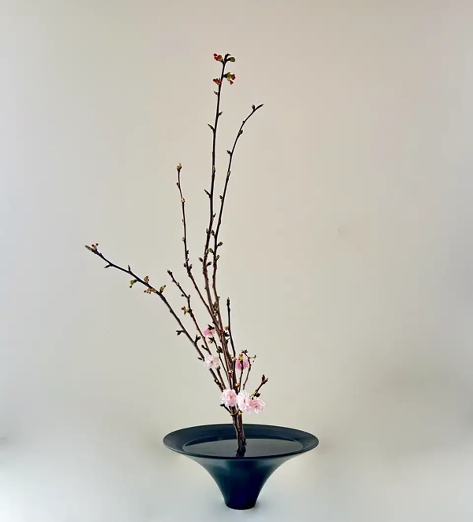 Shoka Shofutai Ikebana arrangement by Valerie Fontanier, June 2025