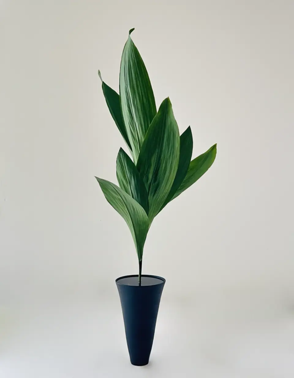 Shoka Shofutai Ikebana arrangement by Valerie Fontanier, May 2025