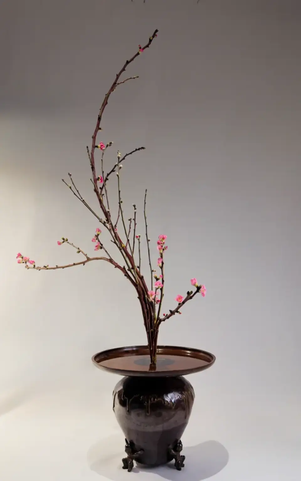 Shoka Shofutai Ikebana arrangement by Valerie Fontanier