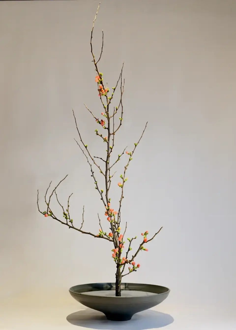 Shoka Shofutai Ikebana arrangement by Valerie Fontanier