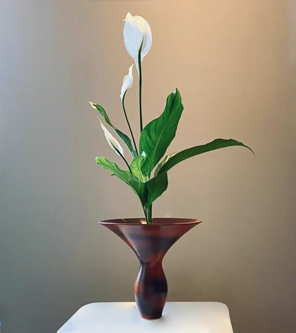 Shoka Shofutai Ikebana arrangement by Valerie Fontanier, October 2024
