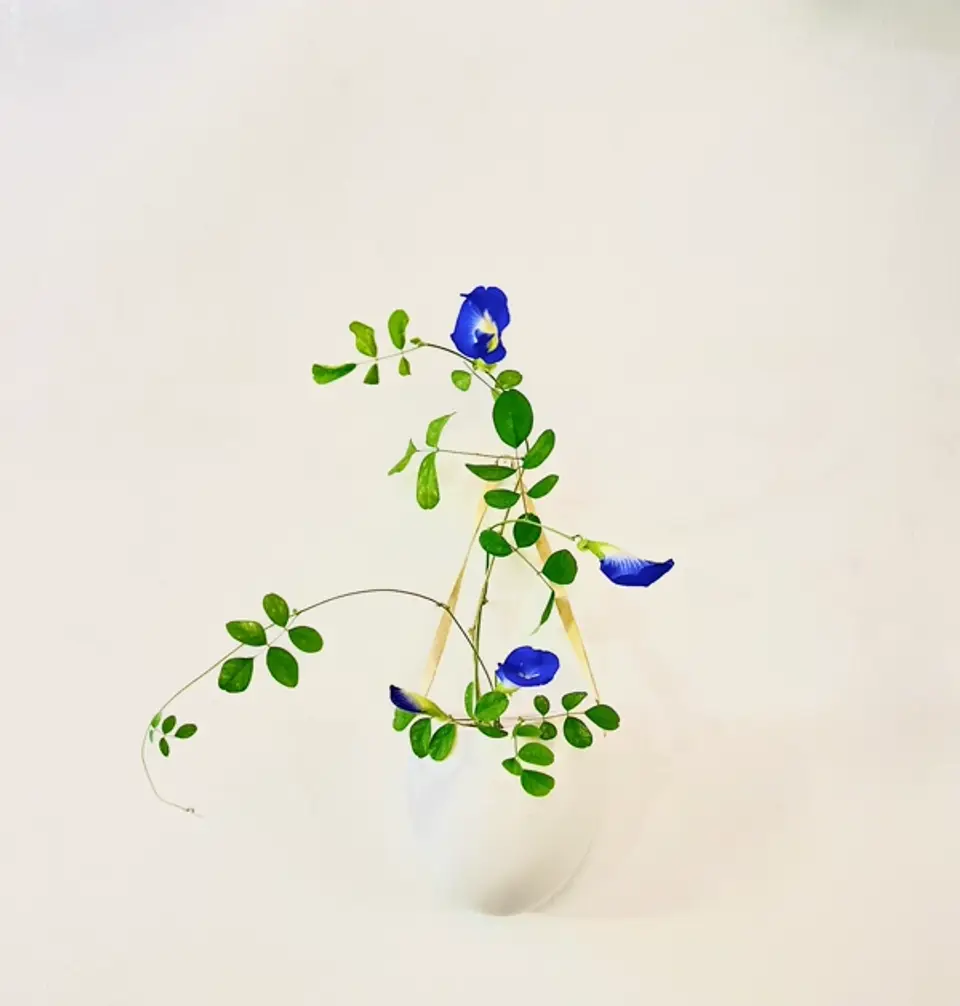 Shoka Shofutai Ikebana arrangement by Valerie Fontanier, December 2024