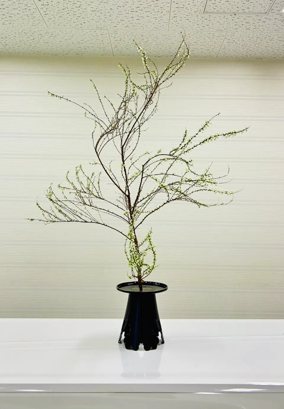 Shoka Shofutai Ikebana arrangement by Valerie Fontanier, April 2025