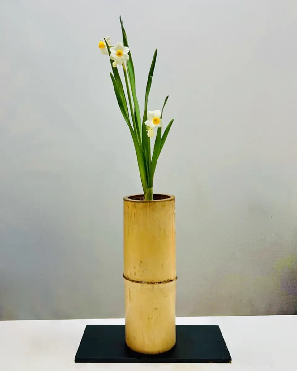 Shoka Shofutai Ikebana arrangement by Valerie Fontanier, October 2023