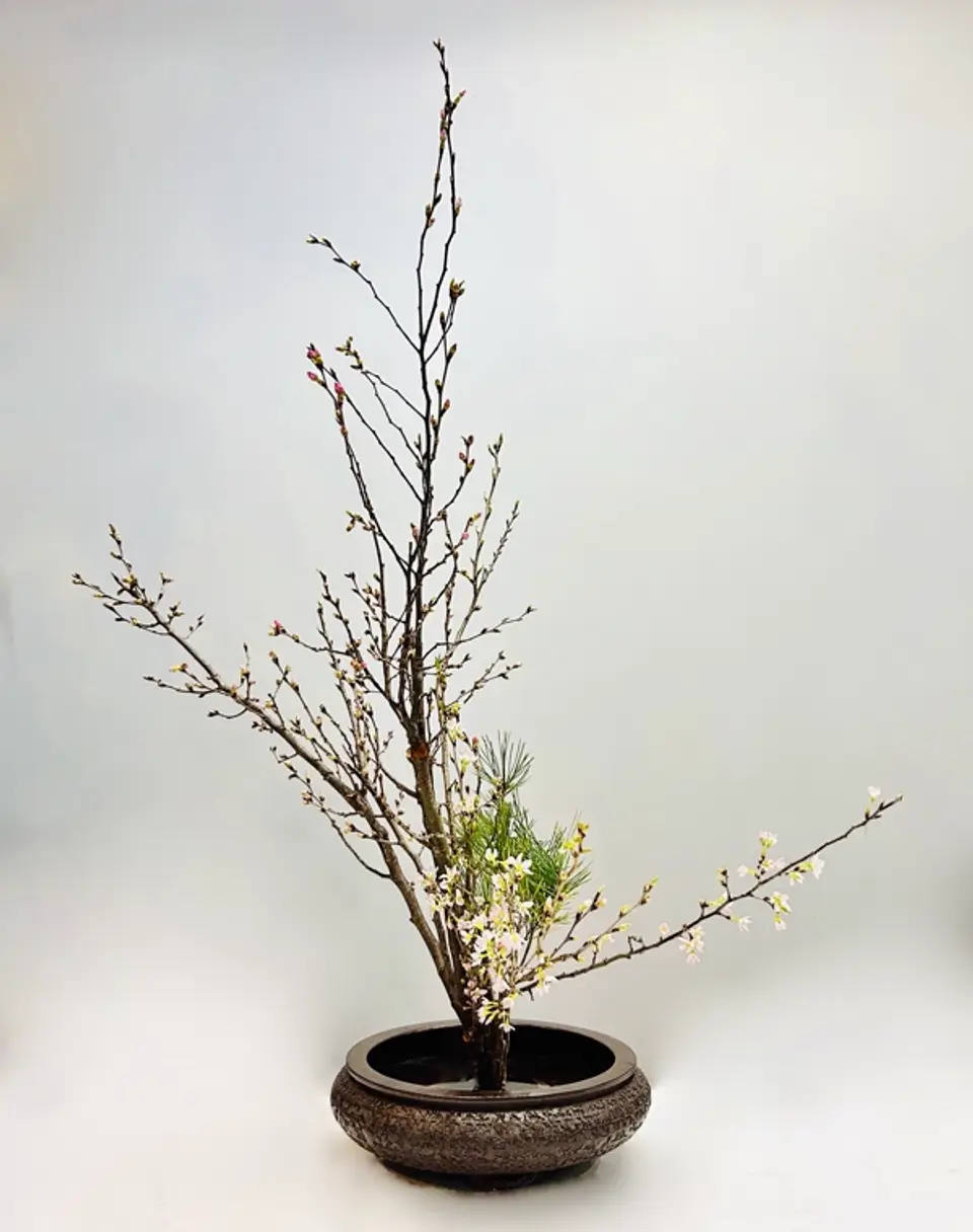 Shoka Shofutai Ikebana arrangement by Valerie Fontanier, June 2025
