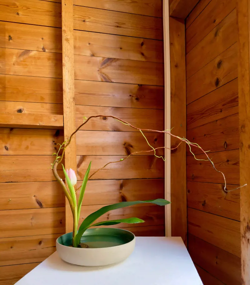 Ikebana arrangement made by Sophie